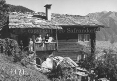 1171Pro Safrandorf