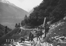 1173Pro Safrandorf