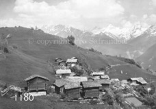 1180Pro Safrandorf