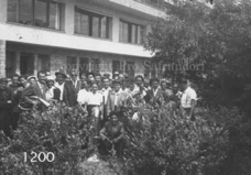 1200Pro Safrandorf