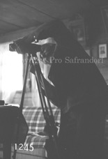 1245Pro Safrandorf