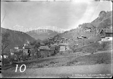 10ProSafrandorf