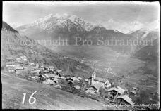 16ProSafrandorf