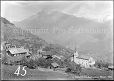 45ProSafrandorf