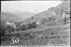 50ProSafrandorf