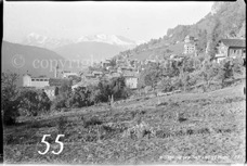55ProSafrandorf