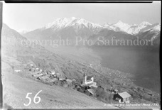 56ProSafrandorf