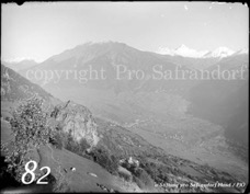 82ProSafrandorf