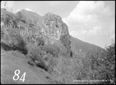 84ProSafrandorf