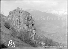85ProSafrandorf