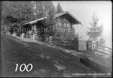 100ProSafrandorf