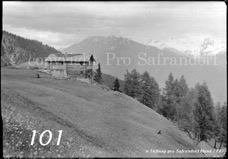 101ProSafrandorf