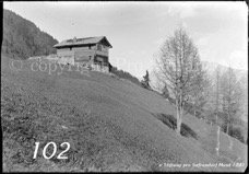 102ProSafrandorf