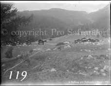 119ProSafrandorf