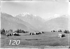 120ProSafrandorf