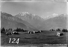 124ProSafrandorf