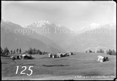 125ProSafrandorf