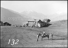 132ProSafrandorf