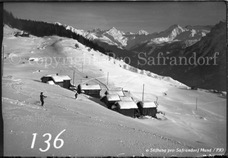 136ProSafrandorf