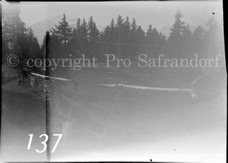 137ProSafrandorf