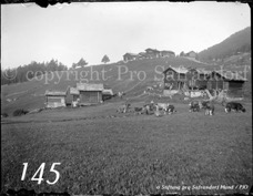 145ProSafrandorf