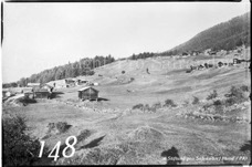 148ProSafrandorf