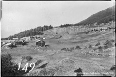 149ProSafrandorf