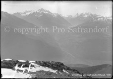 151ProSafrandorf