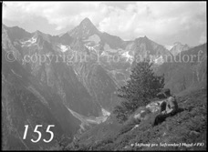 155ProSafrandorf