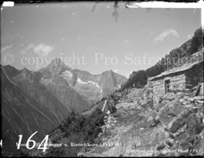 164ProSafrandorf