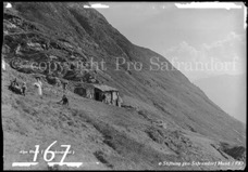 167ProSafrandorf