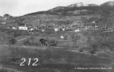 212ProSafrandorf