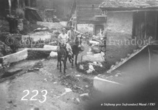 223ProSafrandorf