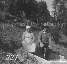 227ProSafrandorf