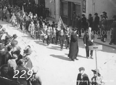 229ProSafrandorf