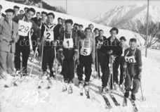 232ProSafrandorf