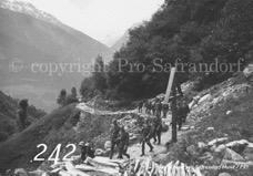242ProSafrandorf