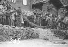 245ProSafrandorf