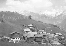 249ProSafrandorf