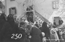 250ProSafrandorf
