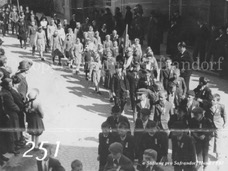 251ProSafrandorf