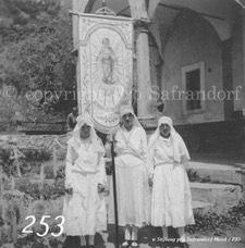 253ProSafrandorf