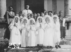 254ProSafrandorf