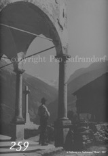 259ProSafrandorf