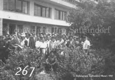 267ProSafrandorf