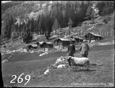269ProSafrandorf