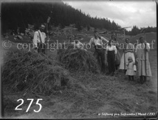 275ProSafrandorf