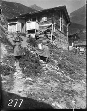 277ProSafrandorf