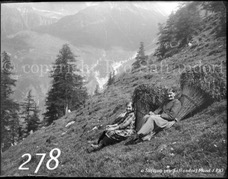 278ProSafrandorf