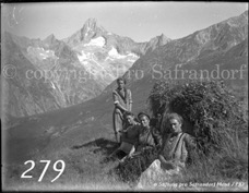 279ProSafrandorf